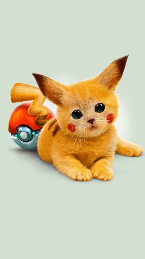 Pikachu Wallpaper 76 Cute Baby Animals Animals And Pets Funny Animals Cute Cats Funny Cats Image Chat